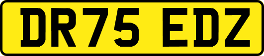 DR75EDZ