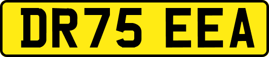 DR75EEA