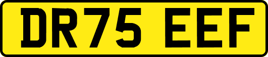 DR75EEF
