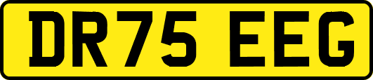DR75EEG