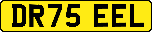 DR75EEL