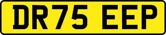 DR75EEP