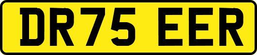 DR75EER
