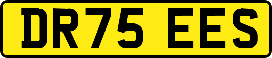 DR75EES