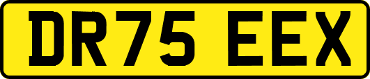 DR75EEX