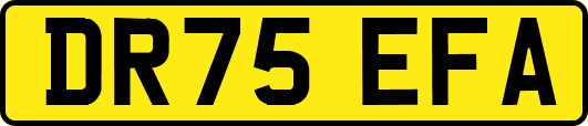 DR75EFA