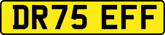 DR75EFF