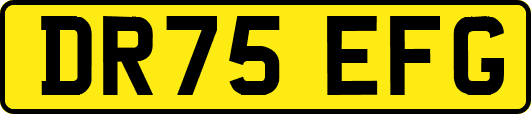 DR75EFG