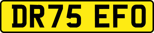 DR75EFO
