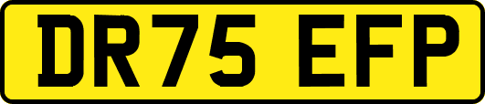 DR75EFP