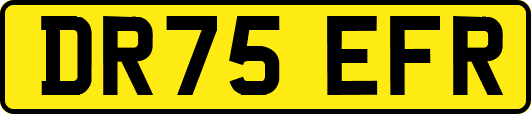 DR75EFR