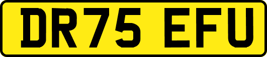 DR75EFU
