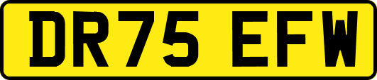 DR75EFW