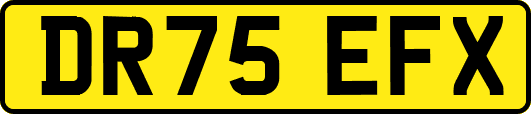DR75EFX