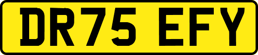 DR75EFY