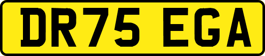 DR75EGA
