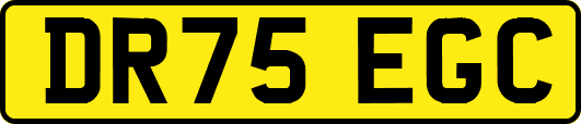 DR75EGC
