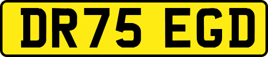 DR75EGD