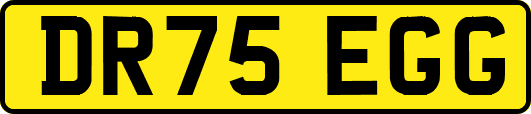 DR75EGG