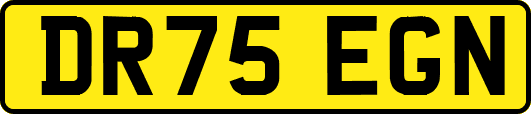 DR75EGN