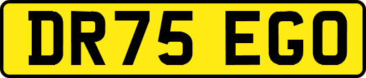 DR75EGO