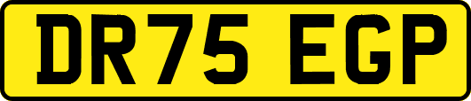DR75EGP