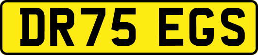 DR75EGS