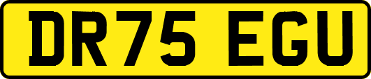 DR75EGU