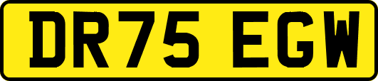 DR75EGW