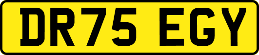 DR75EGY