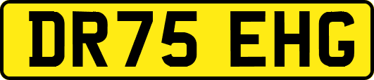 DR75EHG
