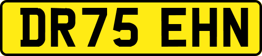 DR75EHN