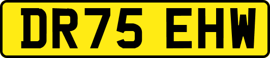 DR75EHW