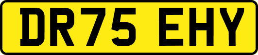 DR75EHY