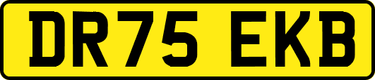 DR75EKB
