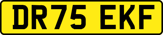 DR75EKF