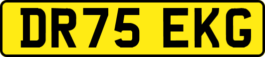 DR75EKG
