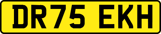 DR75EKH