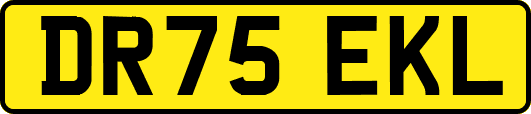 DR75EKL
