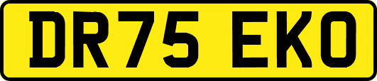DR75EKO