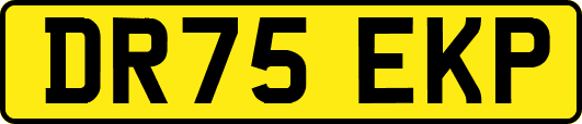 DR75EKP