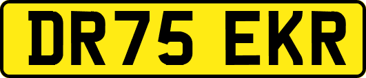 DR75EKR