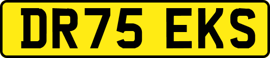 DR75EKS