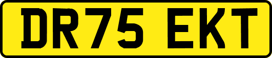 DR75EKT