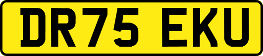 DR75EKU
