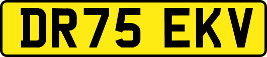 DR75EKV