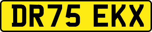 DR75EKX