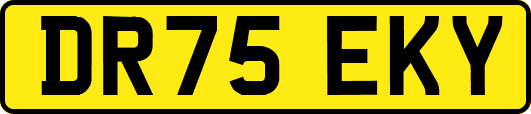 DR75EKY