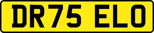 DR75ELO