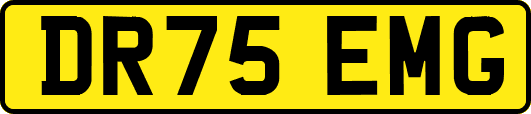 DR75EMG